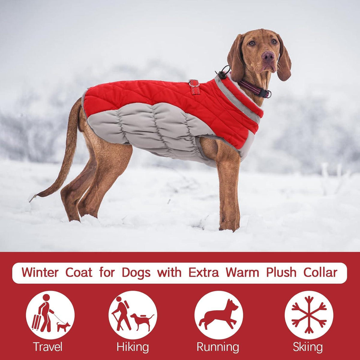 Kuoser Wasserdichter Hundemantel Winterjacke für Mittlere Hunde Rot L