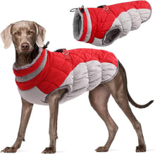 Wasserdichter Hundemantel Winterjacke Fleece gefüttert Rot XS-XXXL
