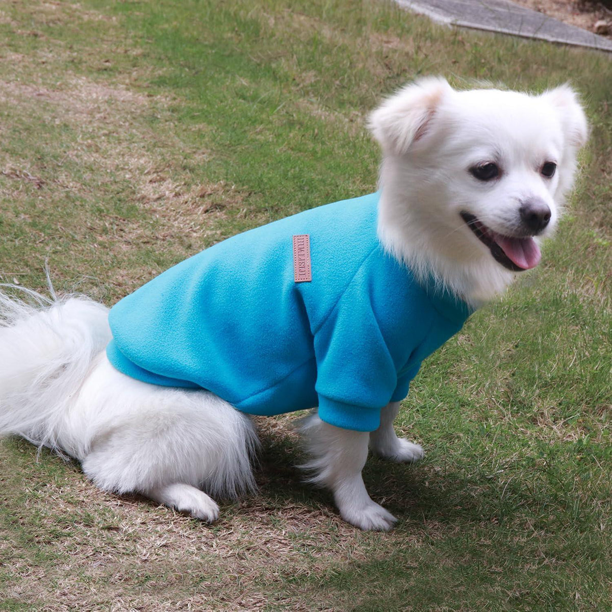 Hundepullover Fleece Blau XL – Warm & Bequem für Kleine Hunde