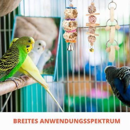 Vogelspielzeug 8er Set – Schaukel, Kauspielzeug & Glocke