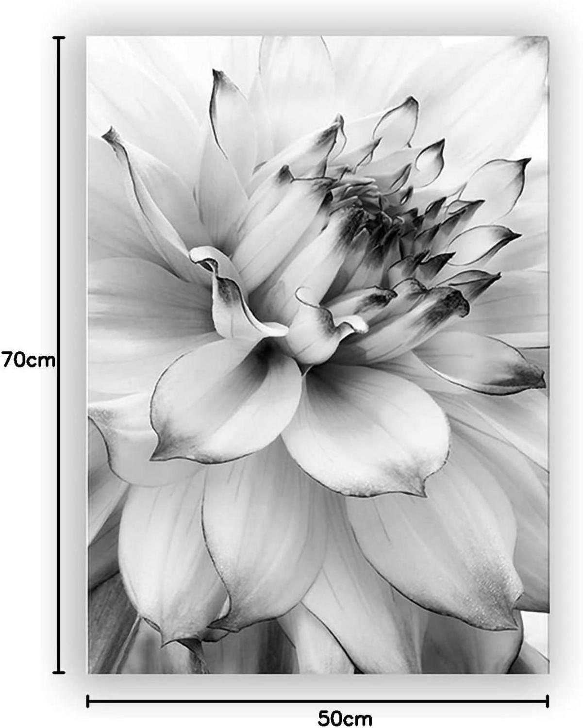 Trayosin 3-teiliges Premium Blumen Schwarz Weiß Feder Löwenzahn Poster Set 50x70cm