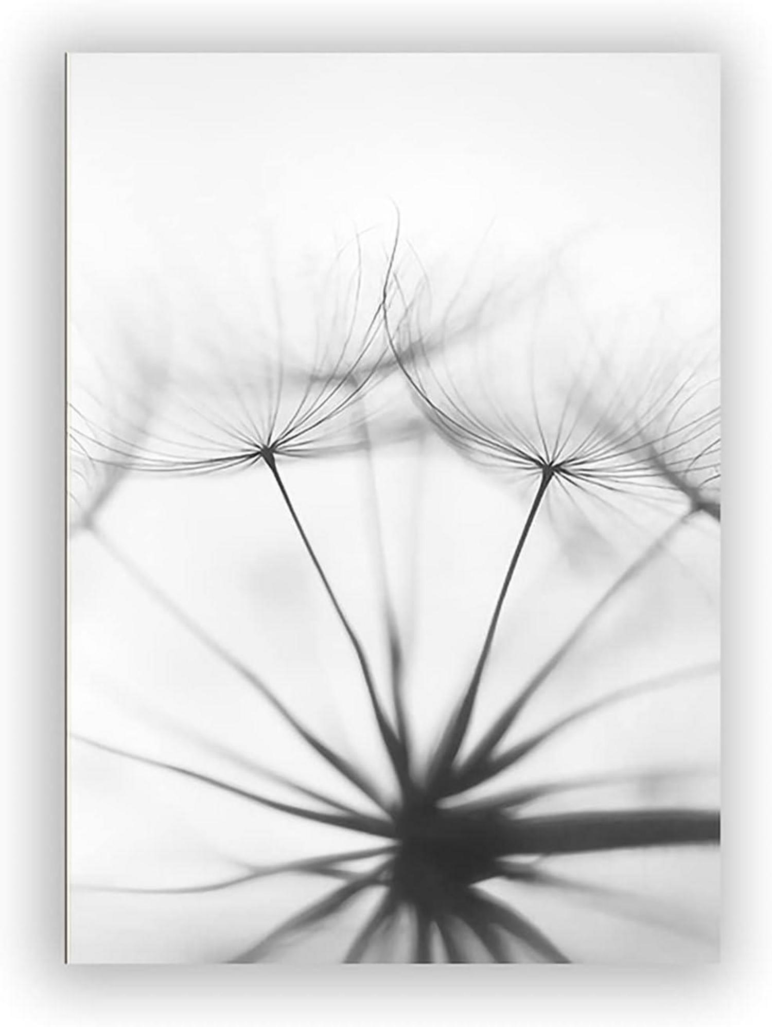 Modernes 3-teiliges Schwarz Weiß Blumen Wandbild Set 50x70cm