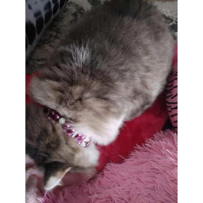 Hundehalsband Perle Violett, Verstellbar M 33cm