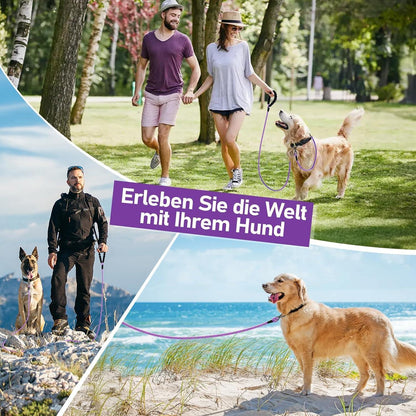 Schleppleine für Hunde, 10m, mit abschließbarem Karabiner, gepolsterter Griff