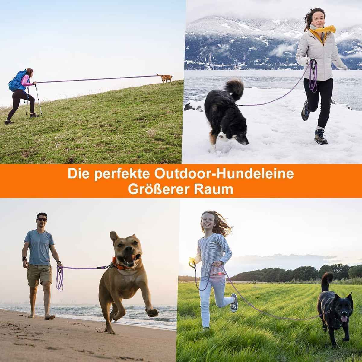 Schleppleine für Hunde, 10m, mit abschließbarem Karabiner, gepolsterter Griff