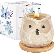 Orangen Duftkerze in Eulen Form Duftkerzen Geschenkset