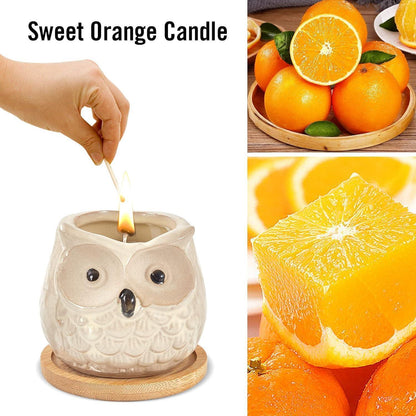 Orangen Duftkerze in Eulen Form Duftkerzen Geschenkset