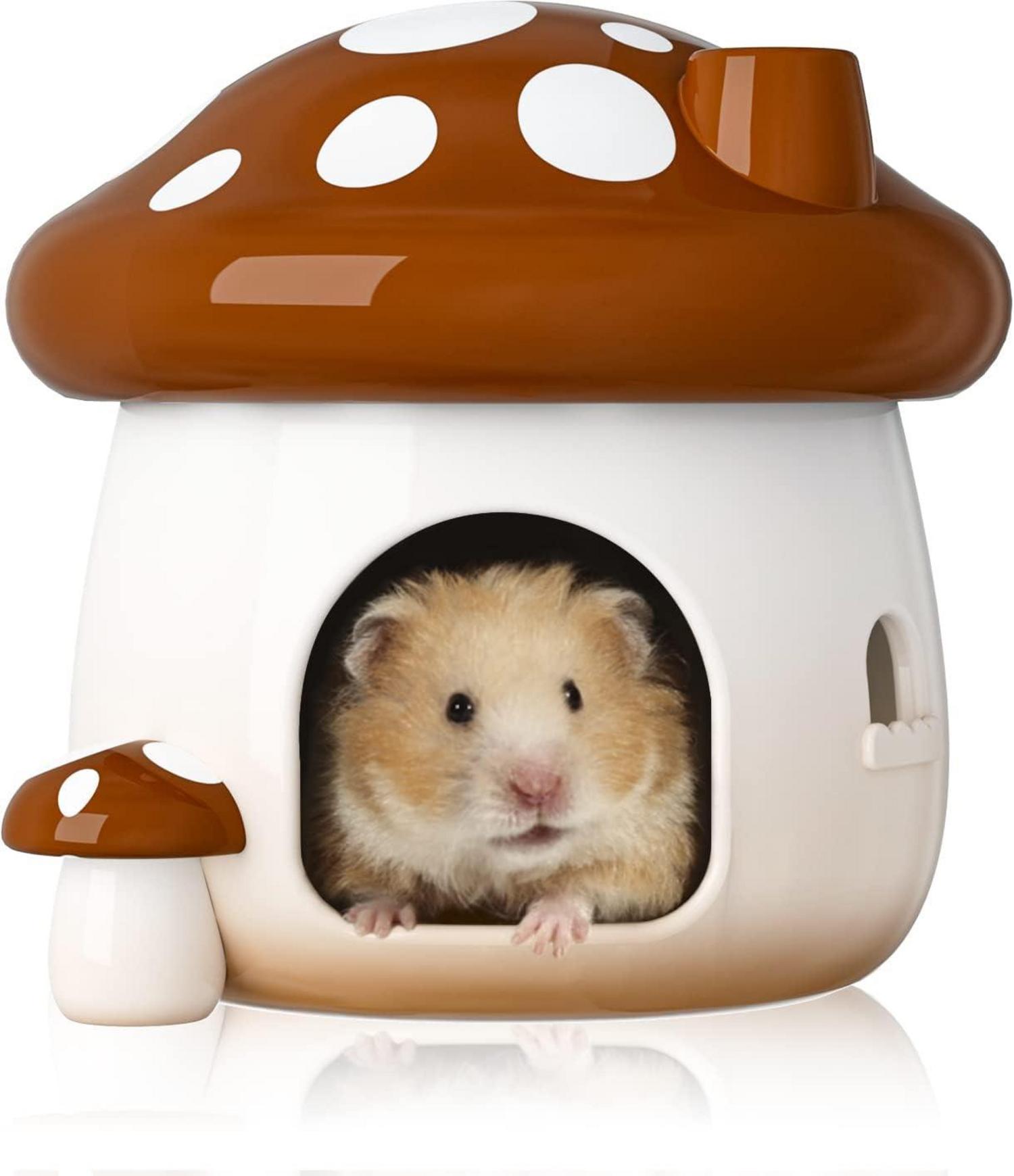 Keramik Hamsterhaus Zwerghamster Rennmäuse Eichhörnchen