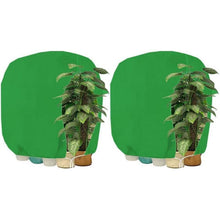 Winterschutz Pflanzenabdeckung 200x240cm - 2er Set