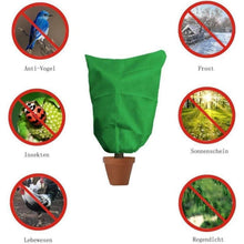 Winterschutz Pflanzenabdeckung 200x240cm - 2er Set