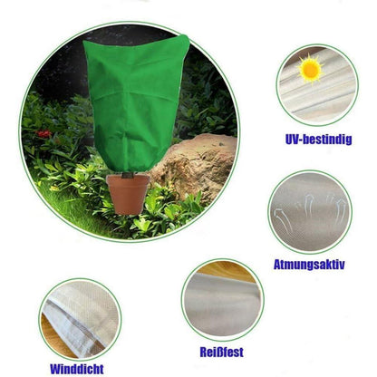 Winterschutz Pflanzenabdeckung 200x240cm - 2er Set