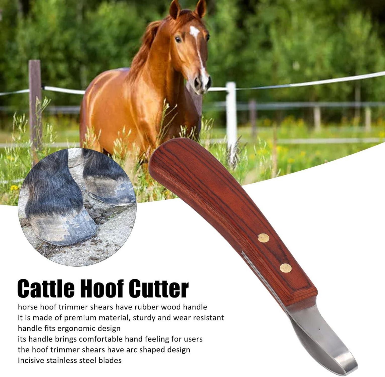 Premium Zweischneidiges Hufmesser mit Holzgriff