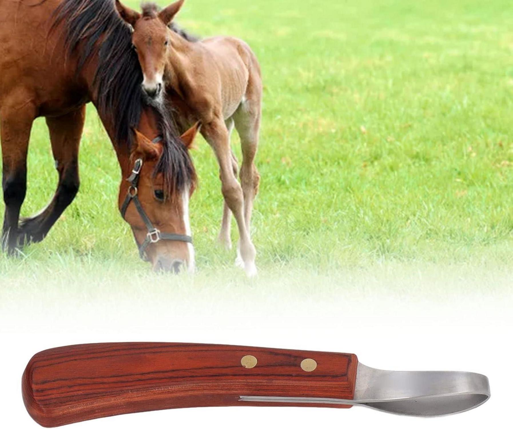Hufmesser mit Holzgriff Pferd Hufschmied Werkzeug rutschfest Schere