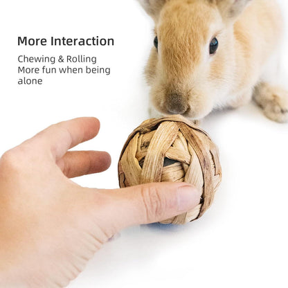 Natürliche Kleintierballspielzeug Set 8 Stück - Chinchilla Meerschweinchen Kaninchen Hamster Ratten - Handgefertigt aus Maiskolben Seegras