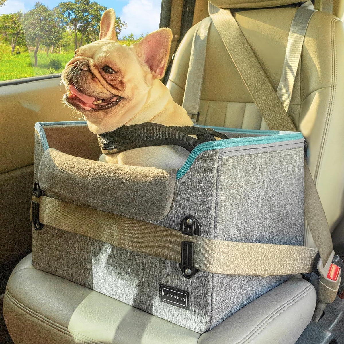 Hunde Autositz für kleine Hunde – Sicher & Komfortabel