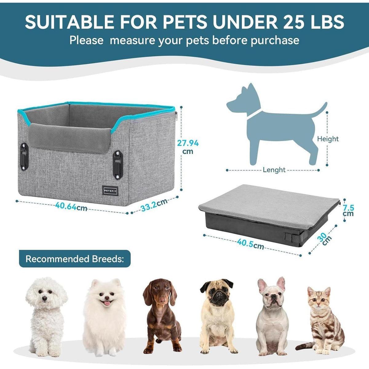 Hunde Autositz für kleine Hunde – Sicher & Komfortabel