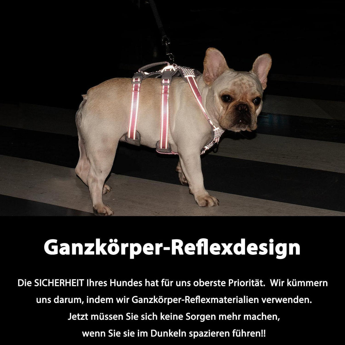 Ausbruchsicher Hundegeschirr Gepolstert Rosa L