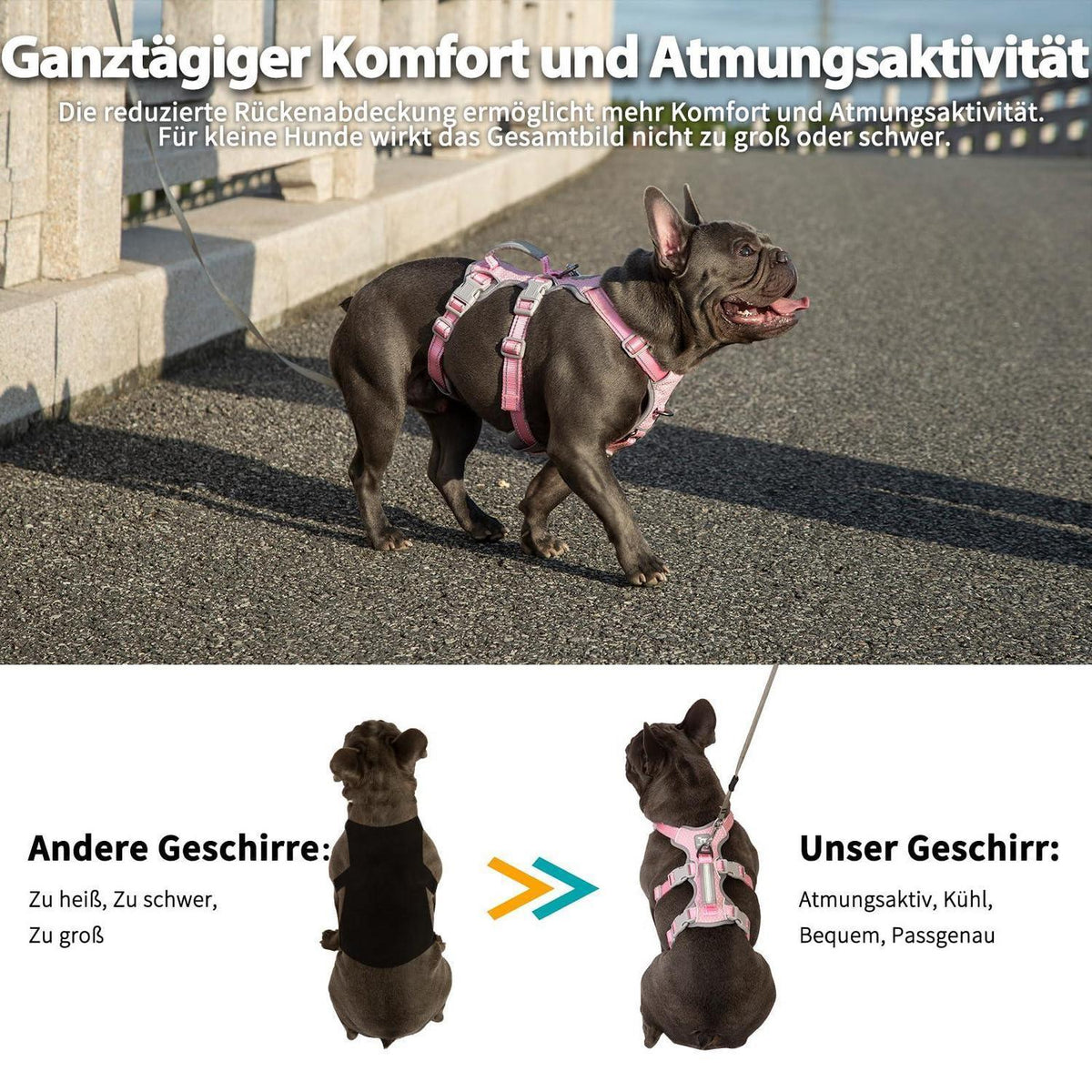 Ausbruchsicher Hundegeschirr Gepolstert Rosa L