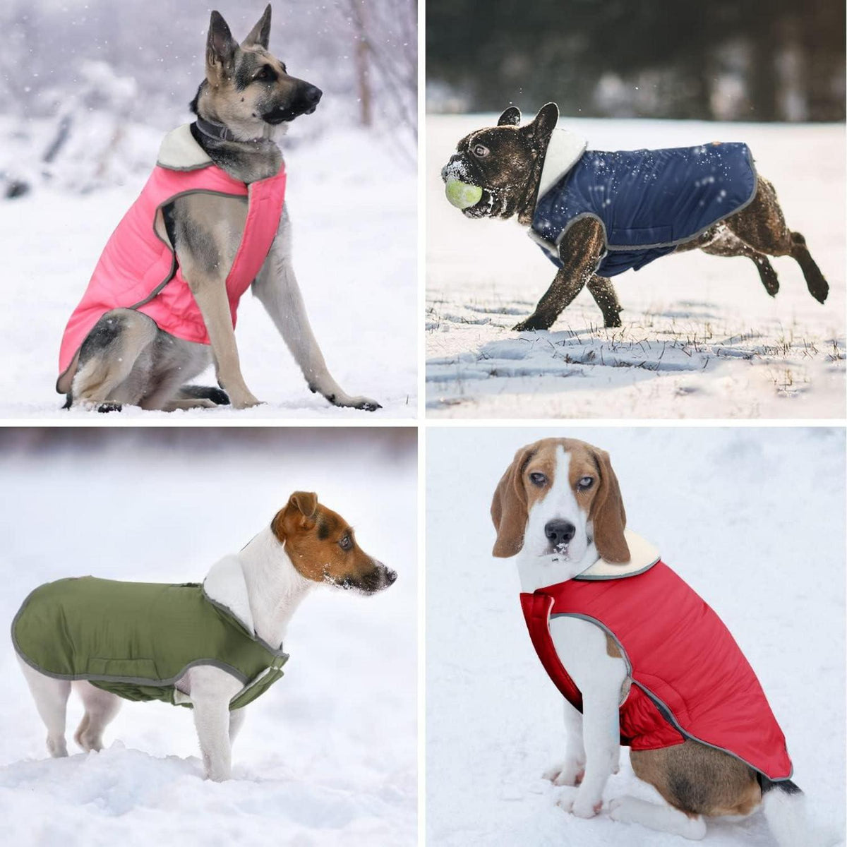 Warme Hundejacke Wintermantel Bauchschutz wasserdicht Winddicht Rot XL