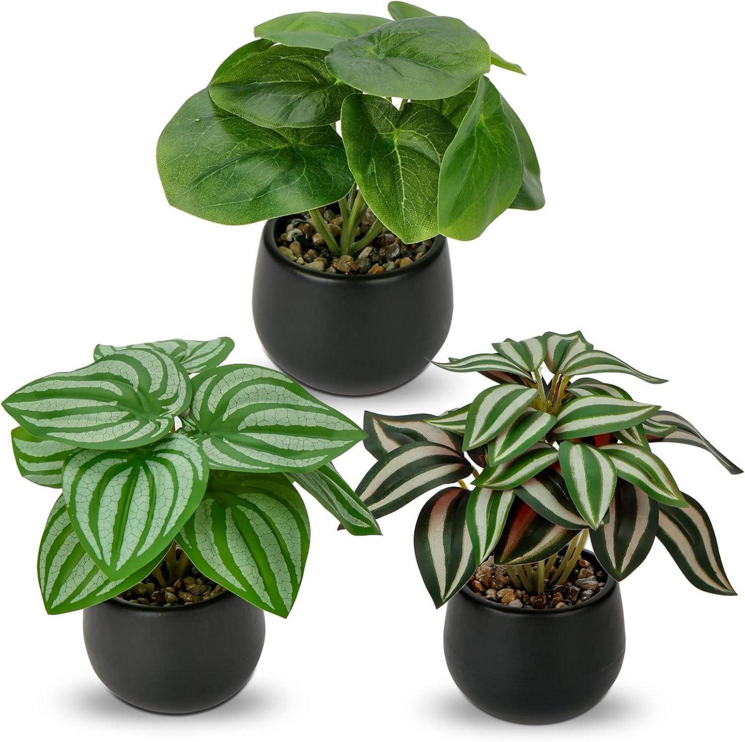 Kunstpflanze 3er Set Künstliche Zimmerpflanze Dekoration ca.15 cm