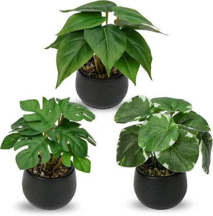 3er Set Kunstpflanze Künstliche Zimmerpflanze Deko 15 cm
