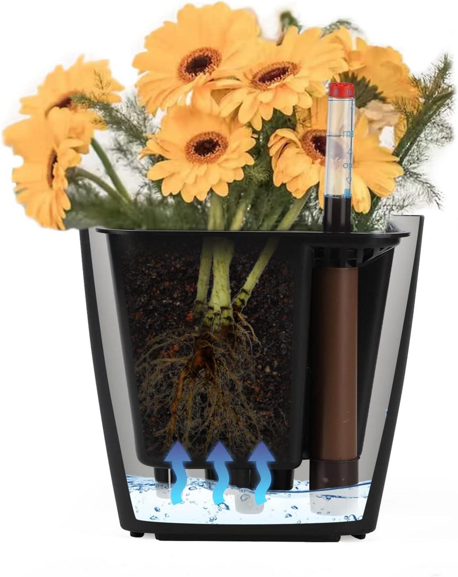 Selbstbewässerungstopf Kräutertopf Wasserspeicher Schwarz