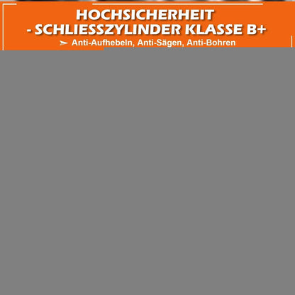 Auto Lenkradschloss mit Teleskopfunktion & 3 Schlüsseln