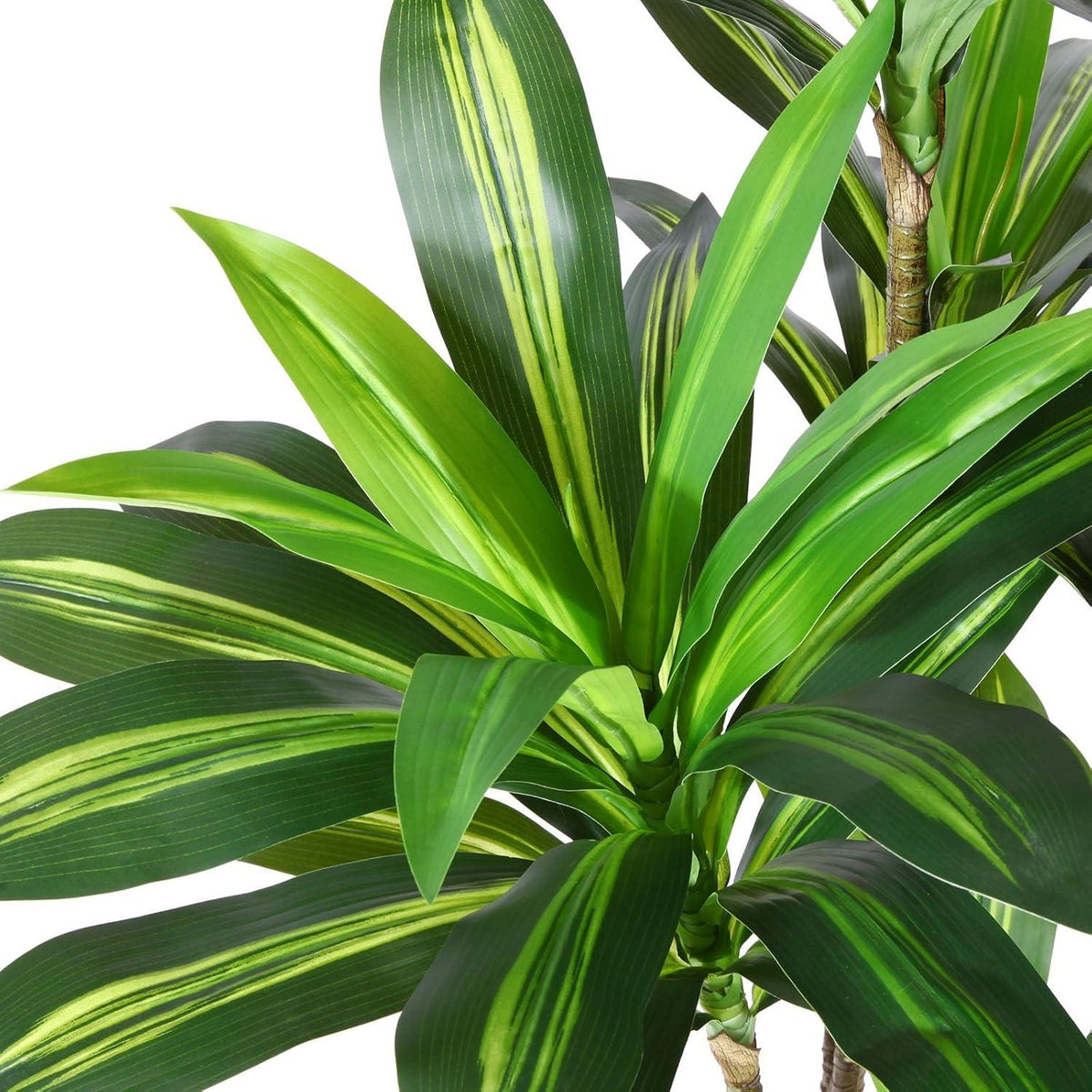 Künstlicher Drachenbaum Tropisch 180cm Fake Plant Wohn Deko