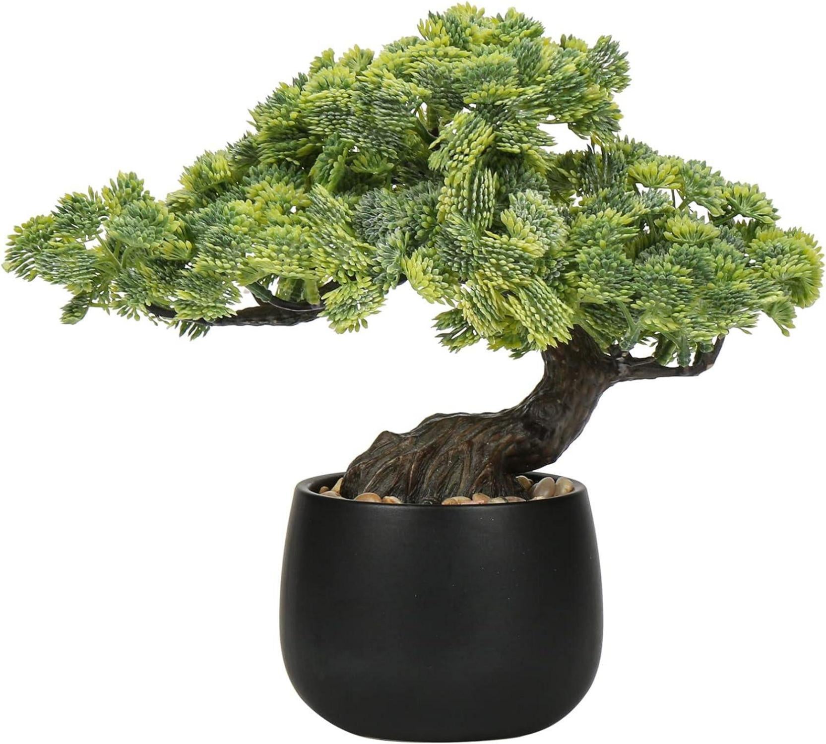 Kunstpflanze Bonsai Baum im Keramiktopf - Künstliche Pflanze Aesthetic