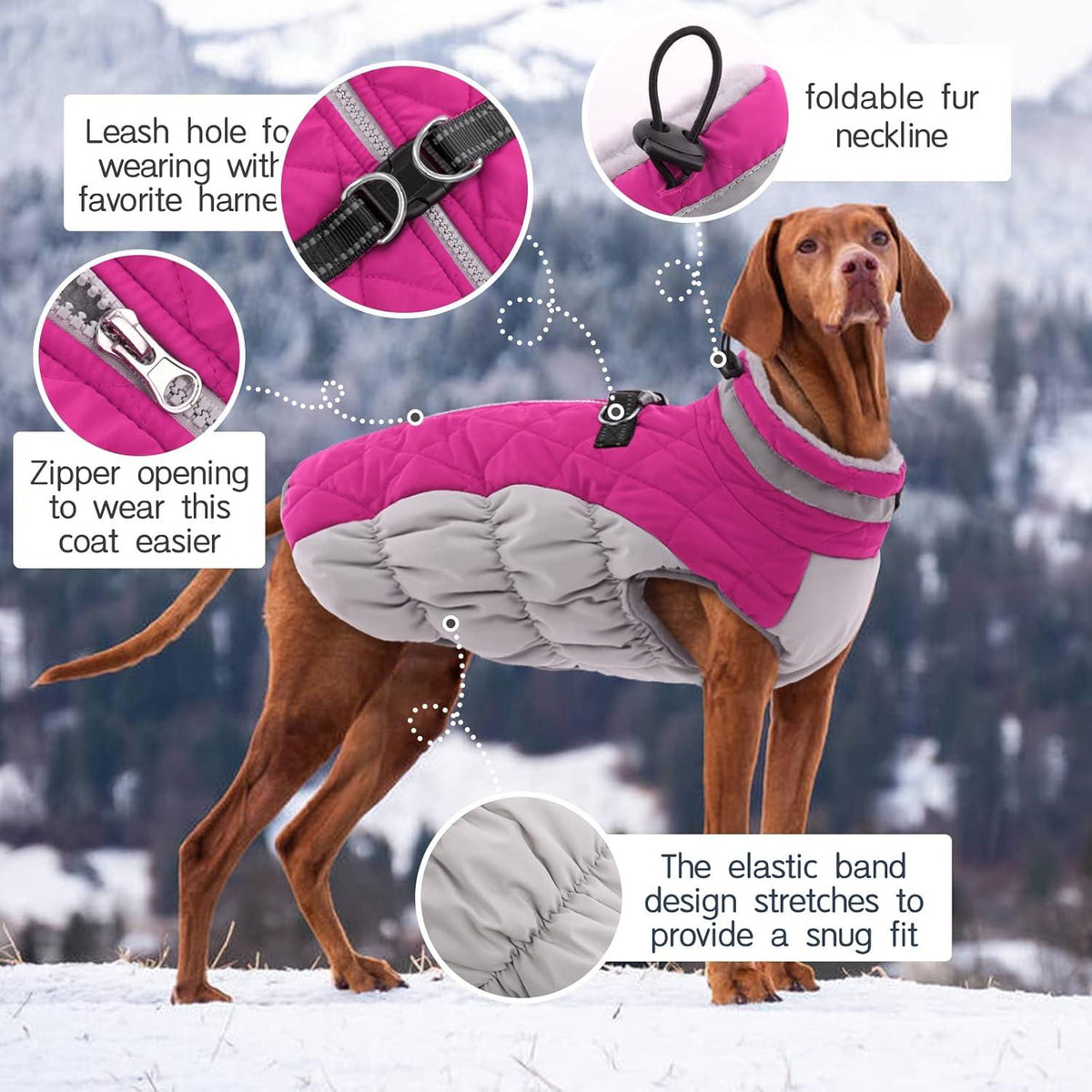 Wasserdichter Hundemantel Winterjacke Kuschelig Fleece Reflektierend