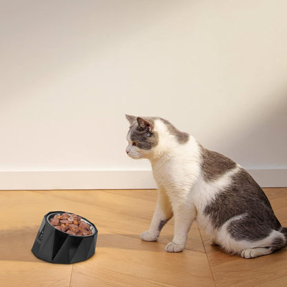 Hundenapf 15 Grad Neigung 470ml Erhöhter Futternapf für Hund und Katze Schwarz
