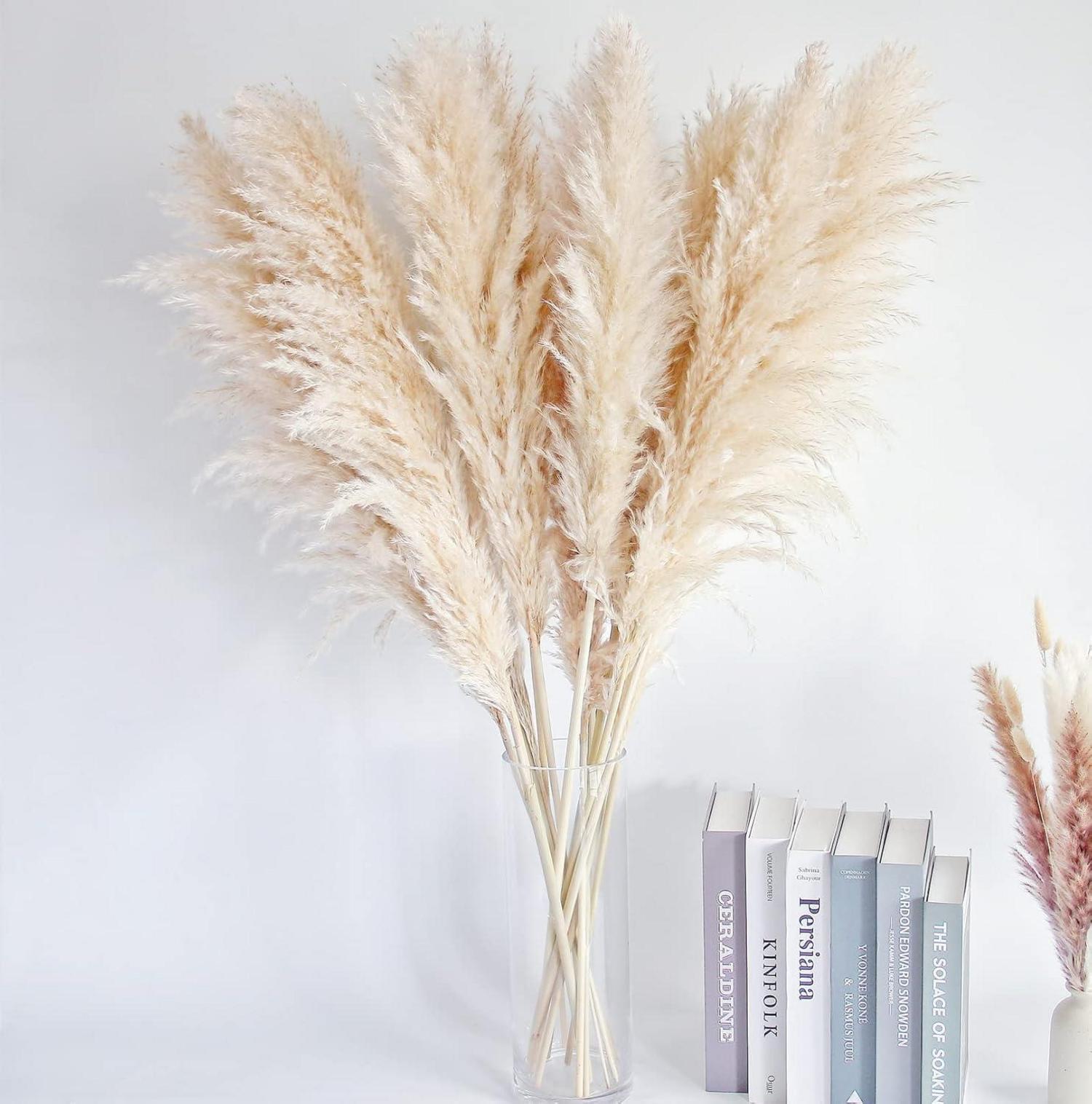 10er Set Pampas Gras XXL Trockenblumen Deko Boho Hochzeit 100cm