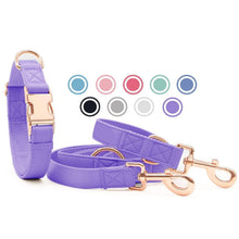 Hundehalsband & Leine Set – Rose Gold, Violett, L in Lederoptik
