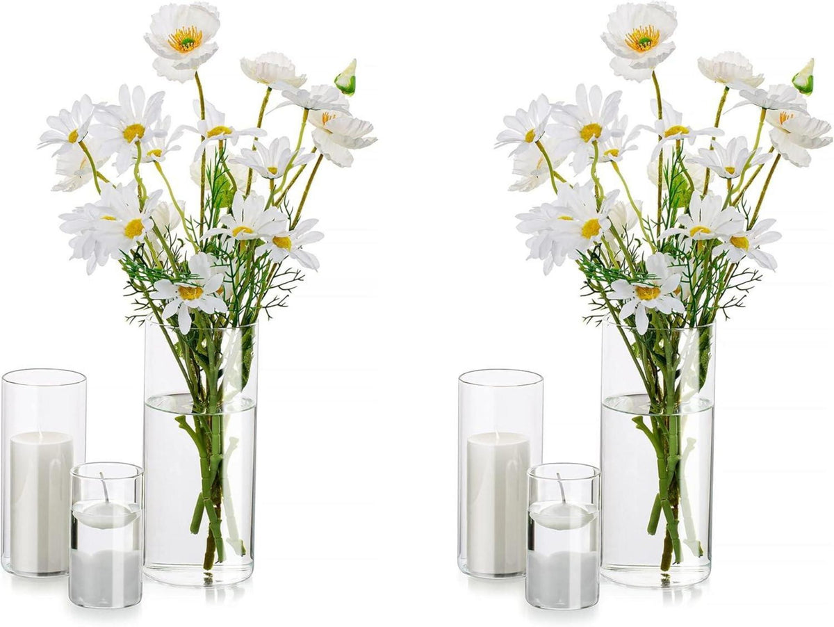 Klare Glasvasen Set für Tischdekoration Zylinder Vase 2er Pack