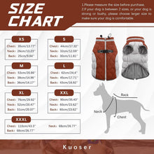 Wasserdichter Hundemantel Winterjacke für Kleine Mittlere