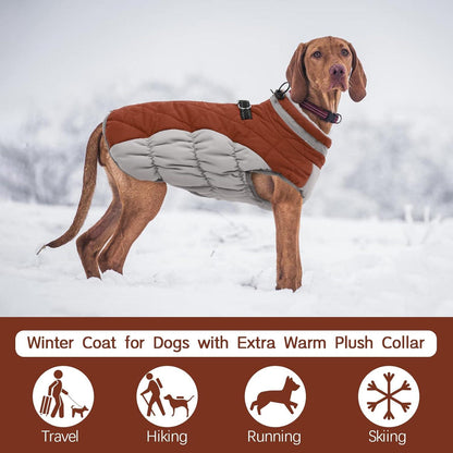 Kuoser Wasserdichter Hundemantel Winterjacke für Kleine Mittlere Große Hunde XS Braun