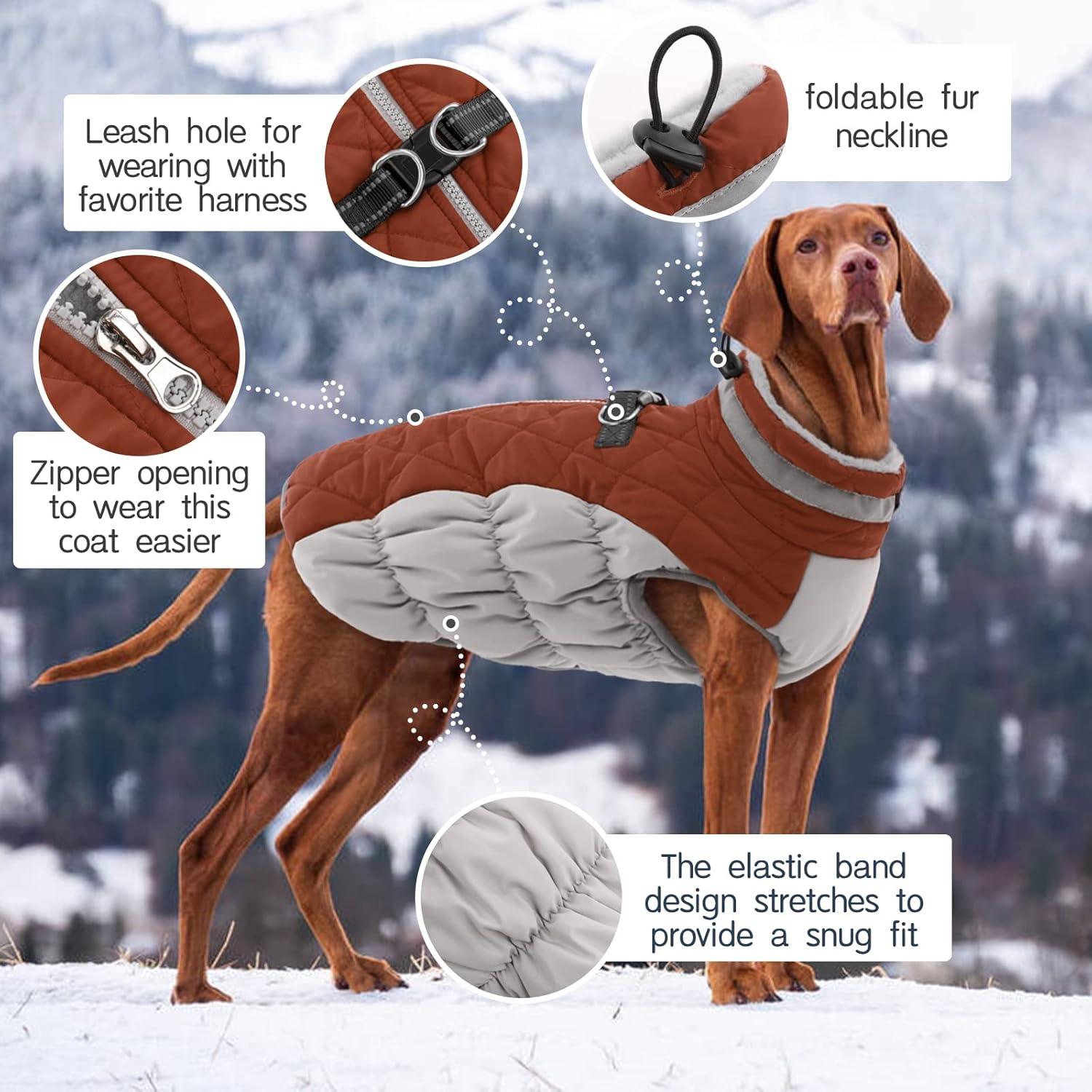 Wasserdichter Hundemantel für Kleine bis Große Hunde Warme Winterjacke