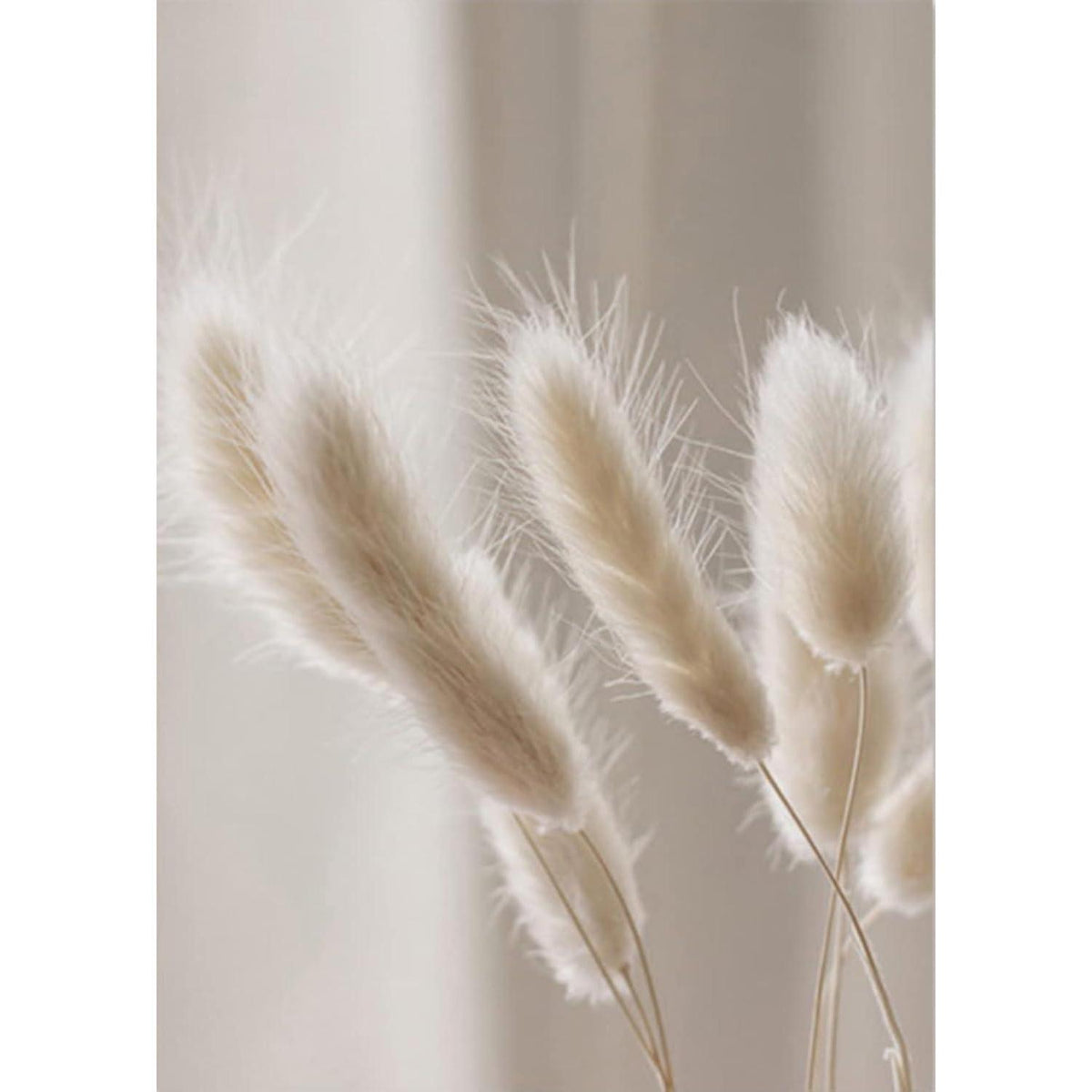 3er Poster Set Schilf – Boho Wandbilder Leinwand Beige