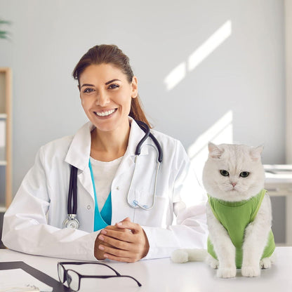Katzenbody Erholungsanzug Modal Recovery Kastration Suit, Bauch OP