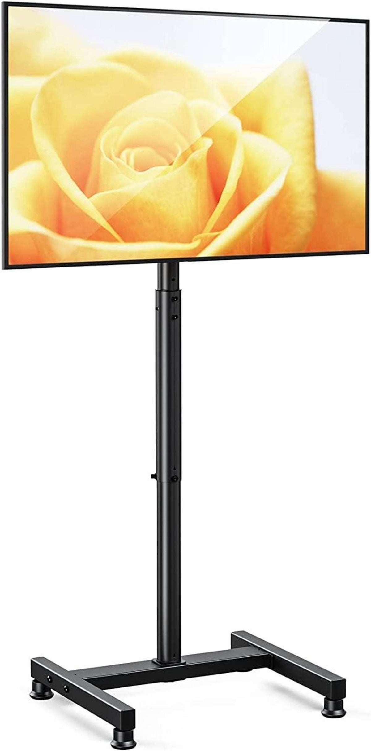 TV-Ständer für 13-50 zoll Flat Curved TVs bis 44