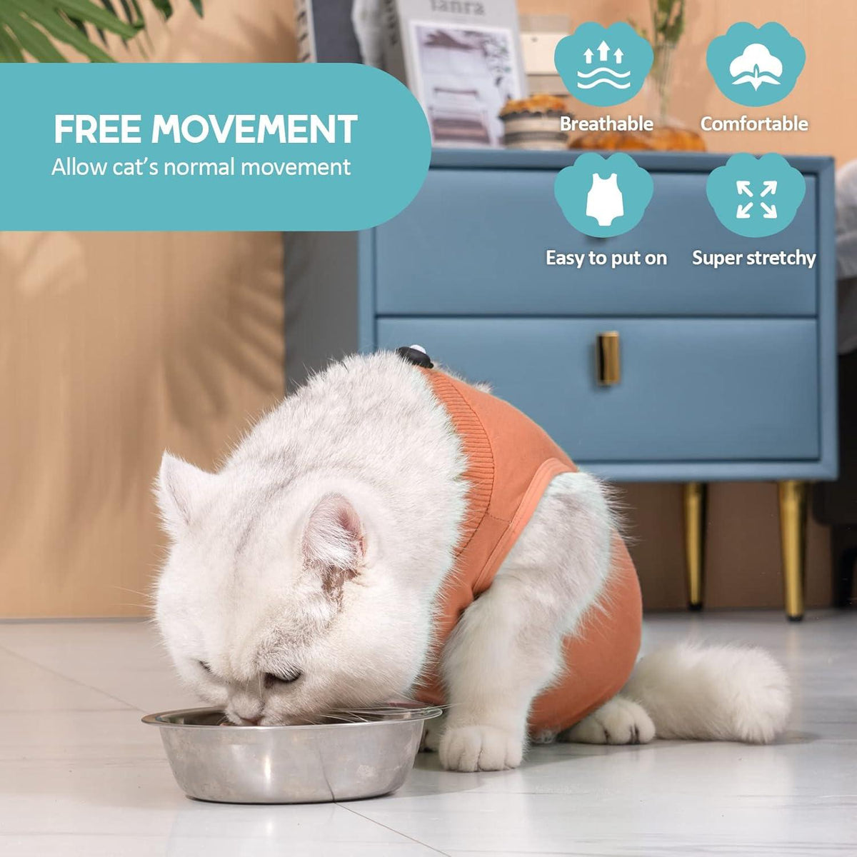 Katzenbody OP Erholungsanzug Kastration Recovery Anzug