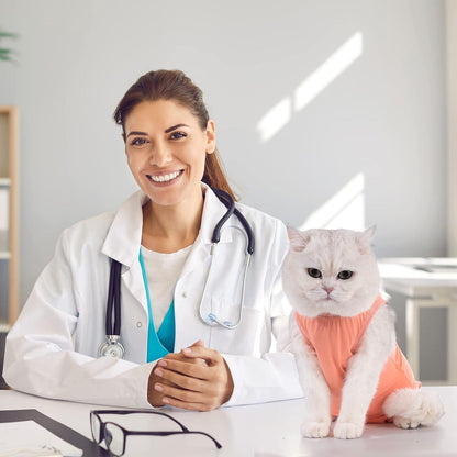 Katzenbody Kastration Recovery Leckschutz Bauch OP M-Koralle