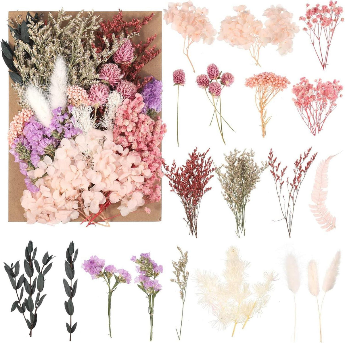 Natürliche Getrocknete Blumen DIY Trockenblumen Bastelmaterial