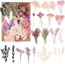 Natürliche Getrocknete Blumen DIY Trockenblumen Bastelmaterial