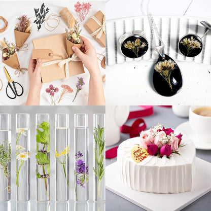 Getrocknete Blumen gemischt für DIY-Projekte & Bastelarbeiten