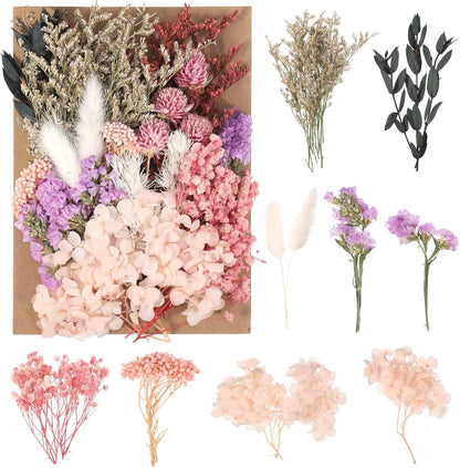 Heyu-Lotus Natürliche getrocknete Blumen DIY Bastelmaterial