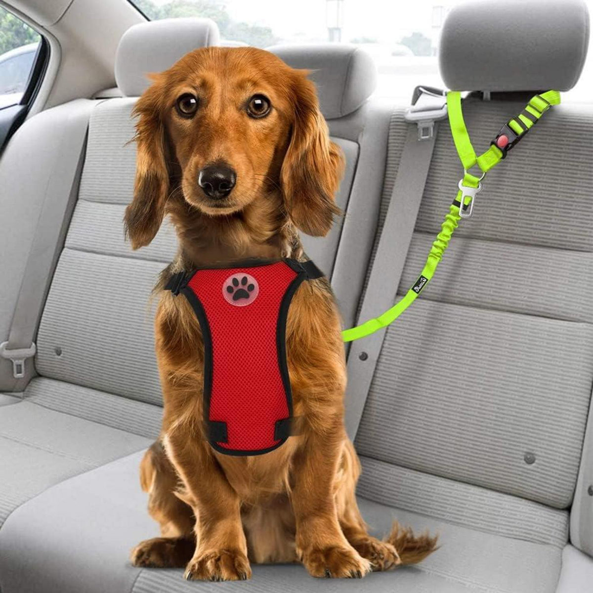 SlowTon Hundegurt Auto 2-in-1 Sicherheitsgurt Kopfstützen-Rückhalte