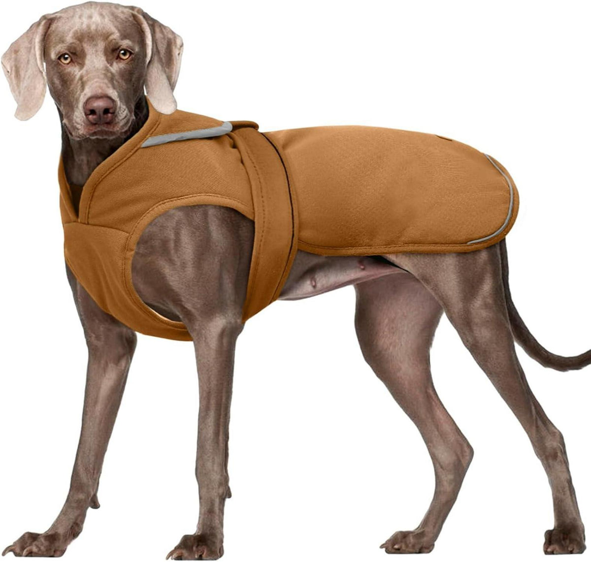 Hundemantel Winterjacke Reflektierende Fleece XS-3XL Braun