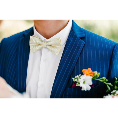 Herren Fliege mit Einstecktuch, Champagner, Verstellbar