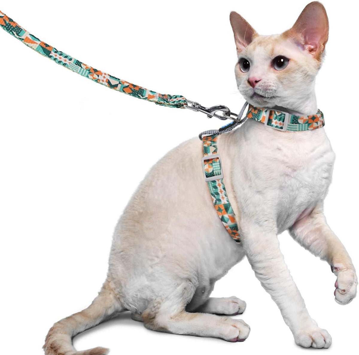 Ausbruchsicheres Katzengeschirr und Leine für kleine und große Katzen